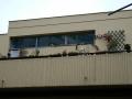 La cite des artistes cite des artistes 032